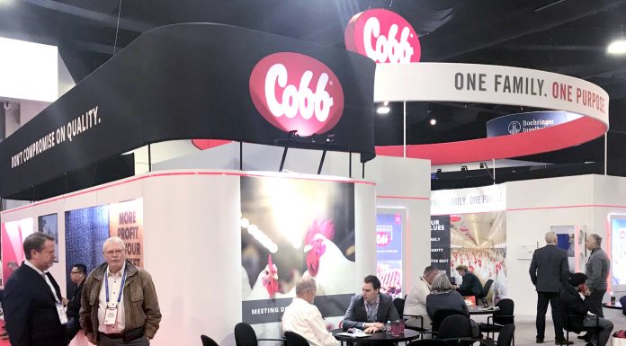 Cobb-Vantress Focuses on Evolving Industry, Growing Needs at IPPE 2020