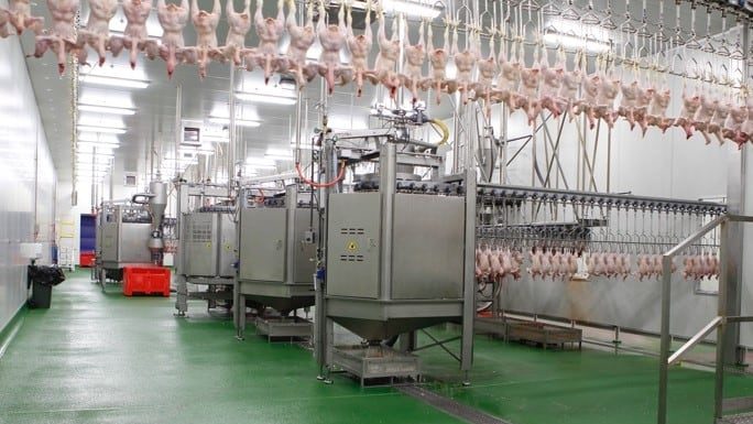 Four Things You Need to Know about ‘Poultry Line Speeds’