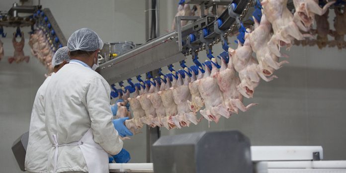 1200x600_Poultry_Processing_Line