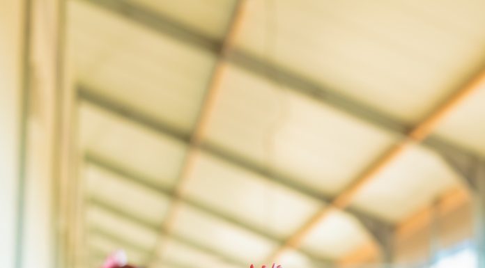 Results from Commercial Trial Show Improved Laying Hen Performance And Reduced Mortality