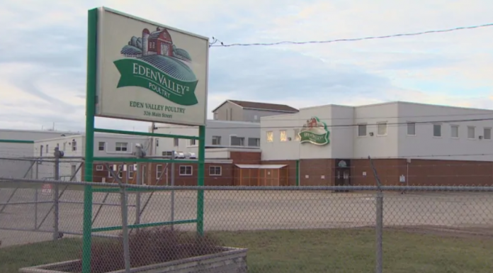 Nova Scotia poultry plant reopens early after COVID-19 outbreak