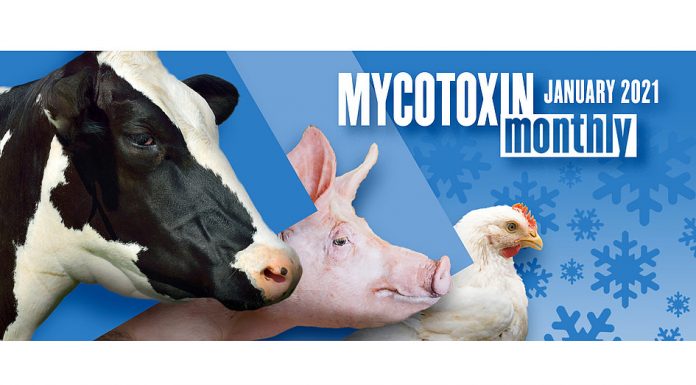 BIOMIN Mycotoxin Survey in US and Canada: January 2021 Update