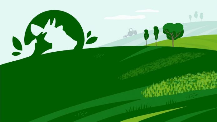 e612656e-09e4-42fb-8cc6-0d960a1f5487