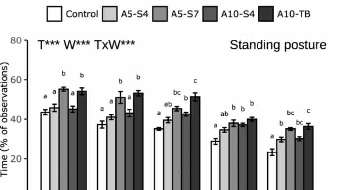 Long-term access to live black soldier fly larvae (Hermetia illucens) stimulates activity and reduces fearfulness of broilers, without affecting health