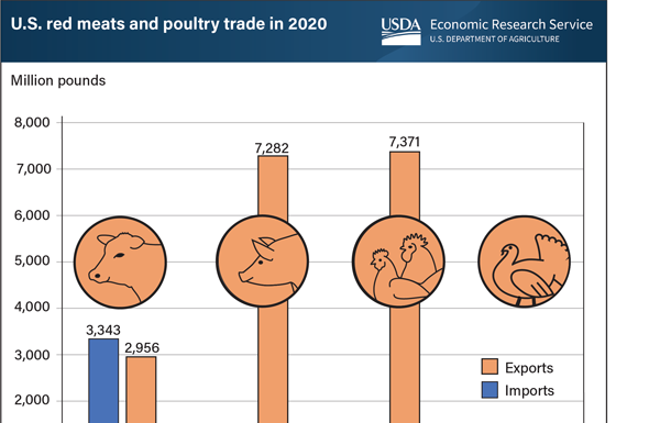 World Trade Month: Robust Overseas Demand For U.S. Meats, Led By Pork And Poultry, Drove Trade Surplus In 2020