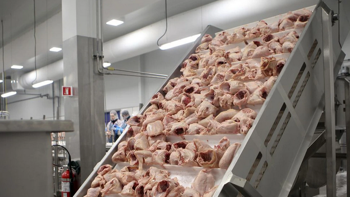 Striking workers at Exceldor poultry plant reject arbitration ‘for the moment’