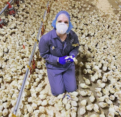 Maximize Success Through Brooding Management