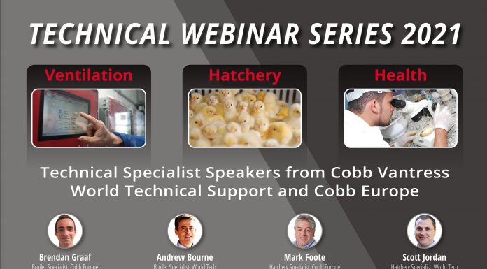 Cobb Brings Expertise Global, Connecting With Customers From More Than 100 Countries in Latest Webinar Series