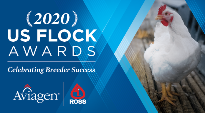 Aviagen North America Honors Star Breeder Performance with 2020 Flock Awards