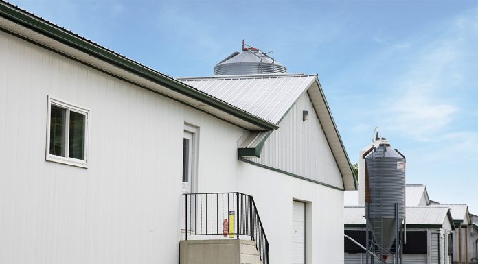 Poultry Biosecurity Now More Crucial Than Ever