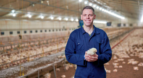 Signify unveils first dynamic lighting system to improve well-being and production of poultry; ONCE NatureDynamics