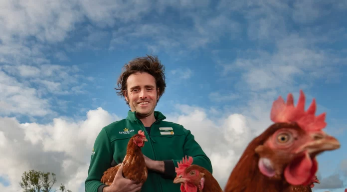 Morrisons to Reduce Soya Use on Road to Carbon Neutral Eggs