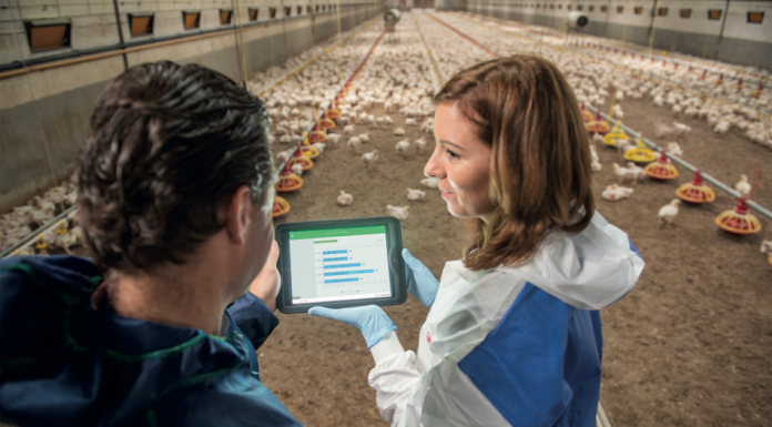 Huvepharma’s Aviapp Platform Employs Big Data to Help Poultry Producers Improve Broiler Health and Management