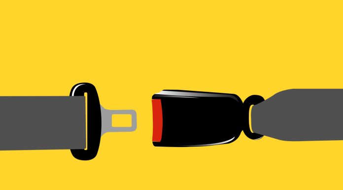 HPAI prevention requires ‘buckle-up’ mentality to biosecurity