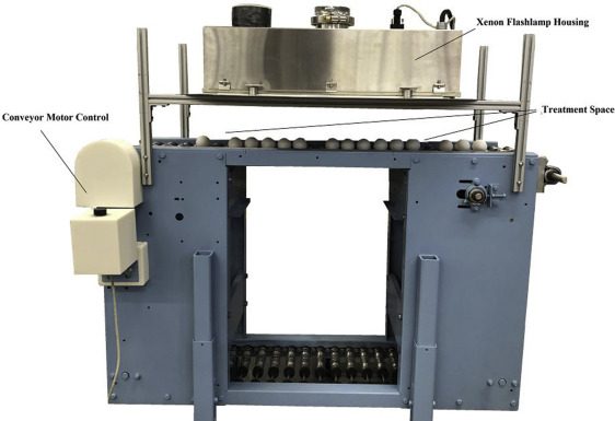 The efficacy of pulsed ultraviolet light processing for table and hatching eggs