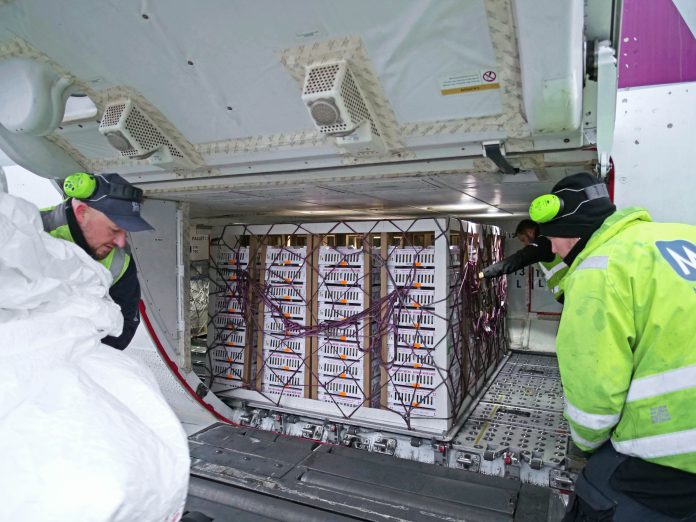 221124_Cargo_Chicken_4