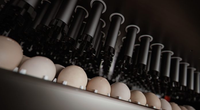 Embrex Precixion 1 Scaled Vaccinating for Marek’s? Don’t be thrown off by PFU levels