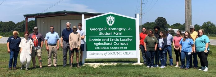 IMG_3317-Cropped-1536x549