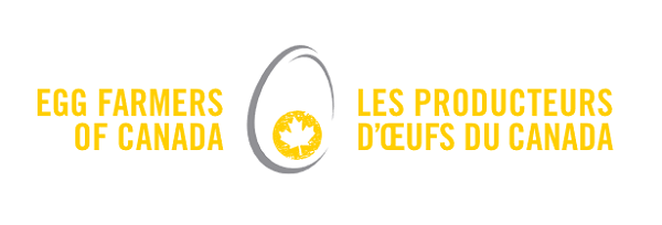 Get Cracking® launches new marketing campaign that puts a spotlight on eggs for dinner