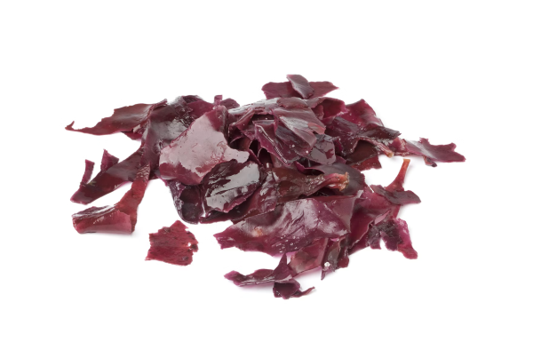 Project to explore viability of red seaweed in poultry diets