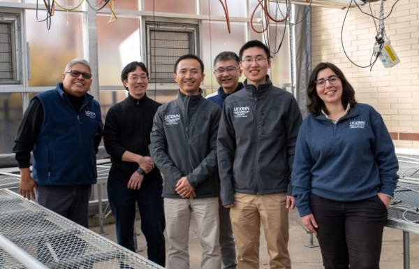 Microalgae for Poultry Nutrition: UConn Researchers Receive NSF Future Manufacturing Grant