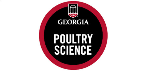 Manure Drying Methods in Layer Houses