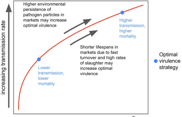 Markets as drivers of selection for highly virulent poultry pathogens