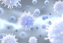 HPAI Cases Resurface in U.S. Poultry Flocks Following Brief Lull