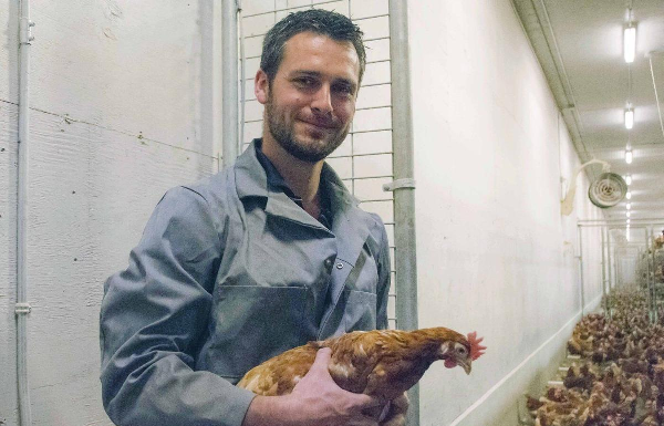 ‘Emotional time’ for B.C. poultry farmers who have to cull thousands of birds