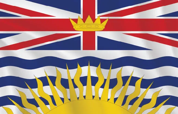 B.C. Invests in Poultry Barn Upgrades to Combat Avian Flu