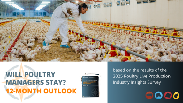 Will Poultry Managers Stay? 12-Month Retention Outlook