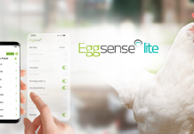 Introducing Eggsense Lite: A New Tool to Unlock the Power of Farm Data