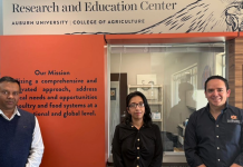 Auburn research reinvents cleaner poultry houses