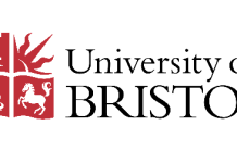 Human touch leaves chicks feeling egg-stra happy, study finds