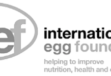 New collaboration with UNICEF to support child nutrition in Ethiopia